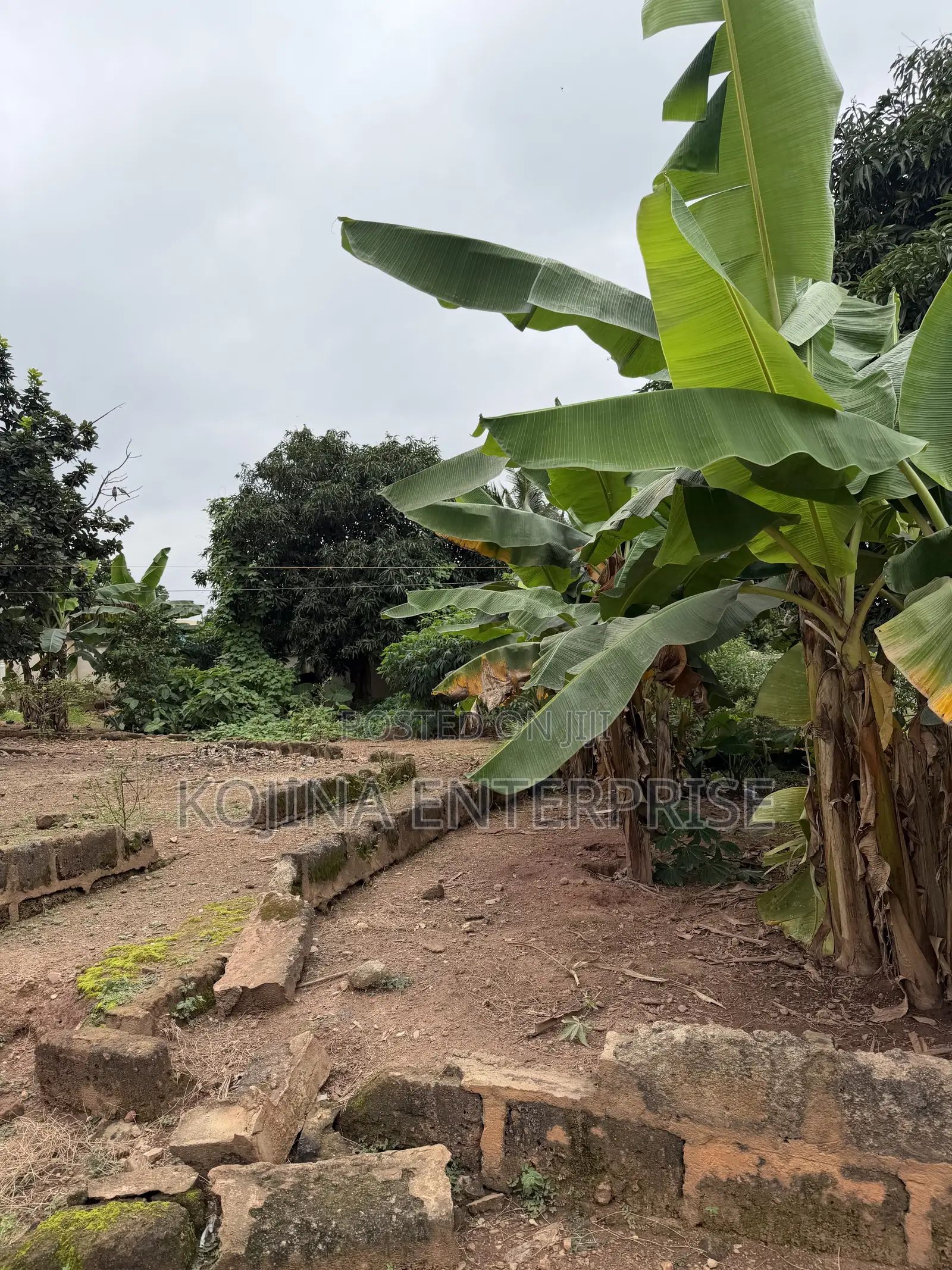 3.5 Plots of Land for Sale at Agric–Aburaso