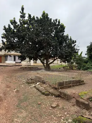 3.5 Plots of Land for Sale at Agric–Aburaso