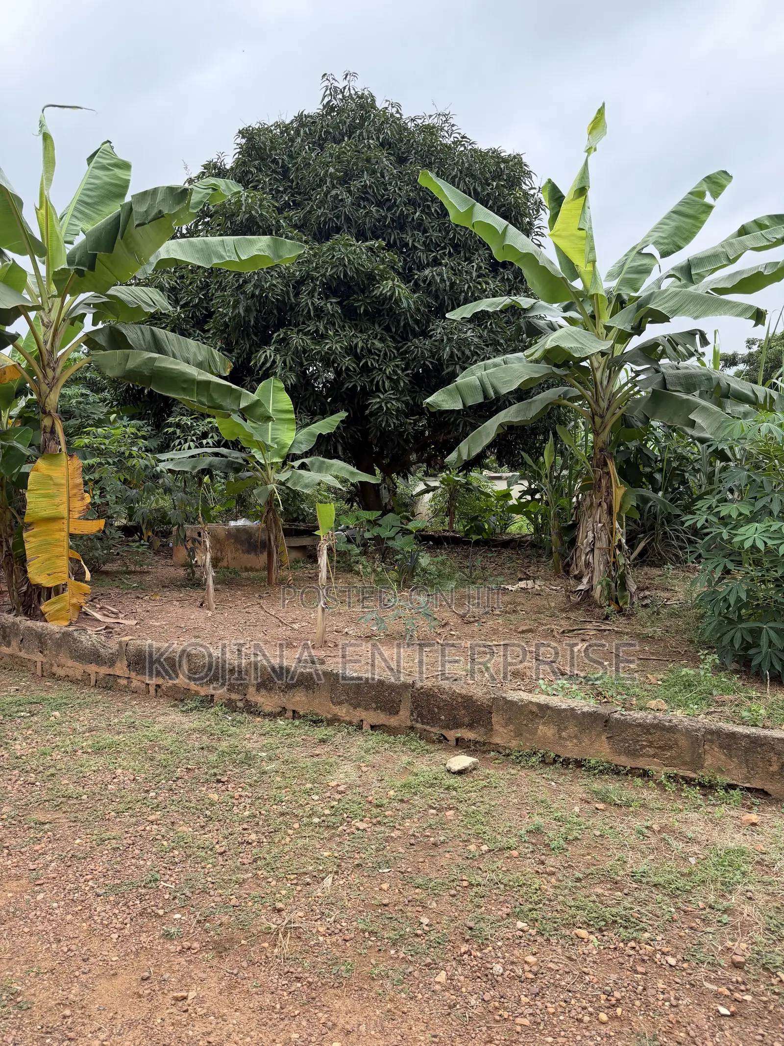 3.5 Plots of Land for Sale at Agric–Aburaso
