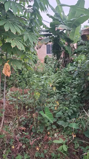 Half Plot of Land at Oyoko Agunaba Hotel