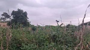Half Plot of Land at Oyoko Agunaba Hotel