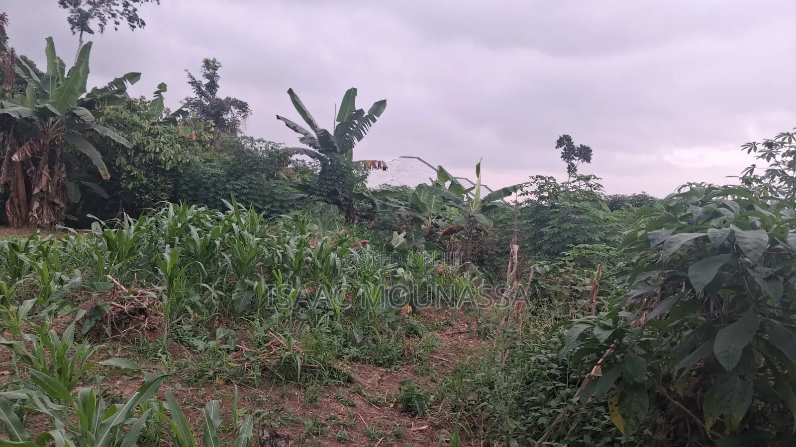 Half Plot of Land at Oyoko Agunaba Hotel