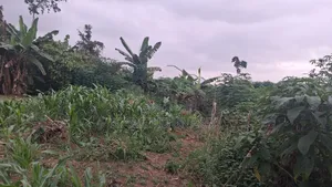 Half Plot of Land at Oyoko Agunaba Hotel