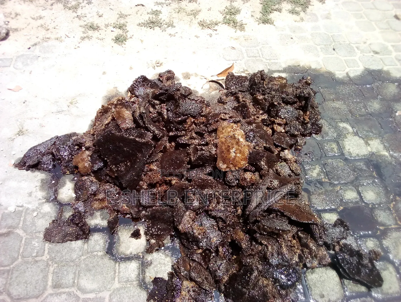 Fumigation,pest Control,cleaning and Disinfection Services