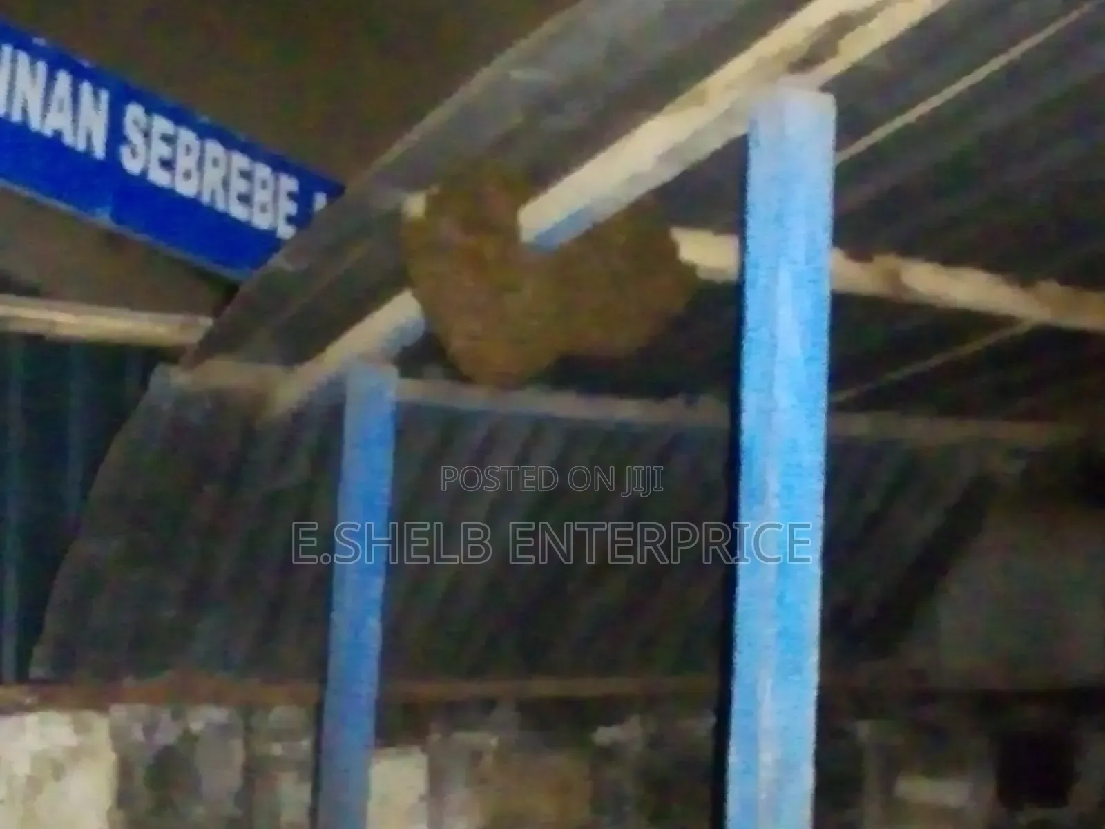 Fumigation,pest Control,cleaning and Disinfection Services