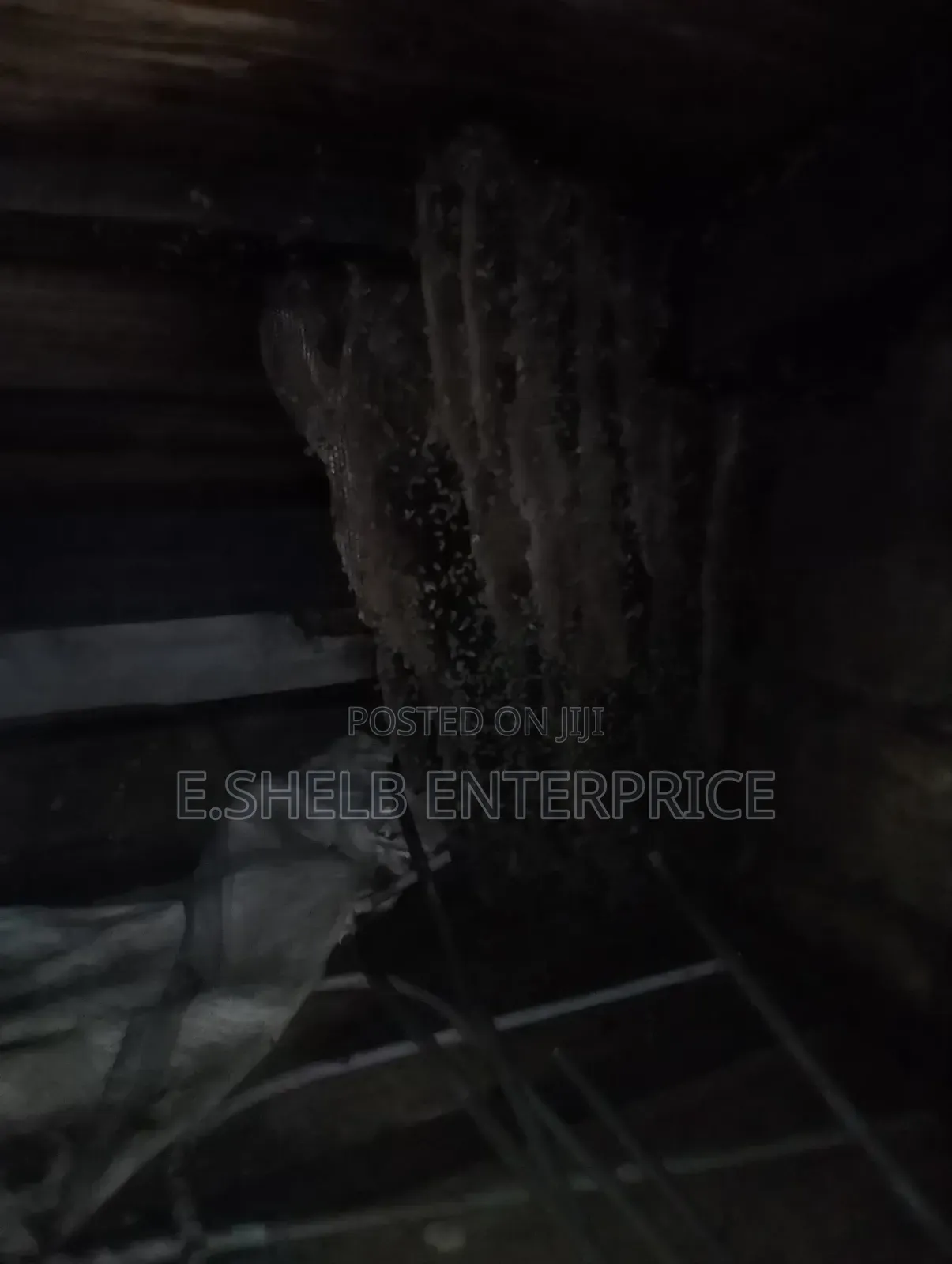 Fumigation,pest Control,cleaning and Disinfection Services
