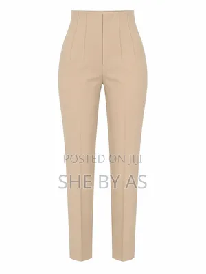 Zara Pants | High-Waist Pleated Trousers | Corporate Women's Outfit |