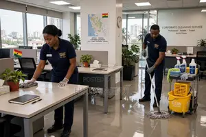 Professional Cleaning Services - Spintex Okpoigono Same Day