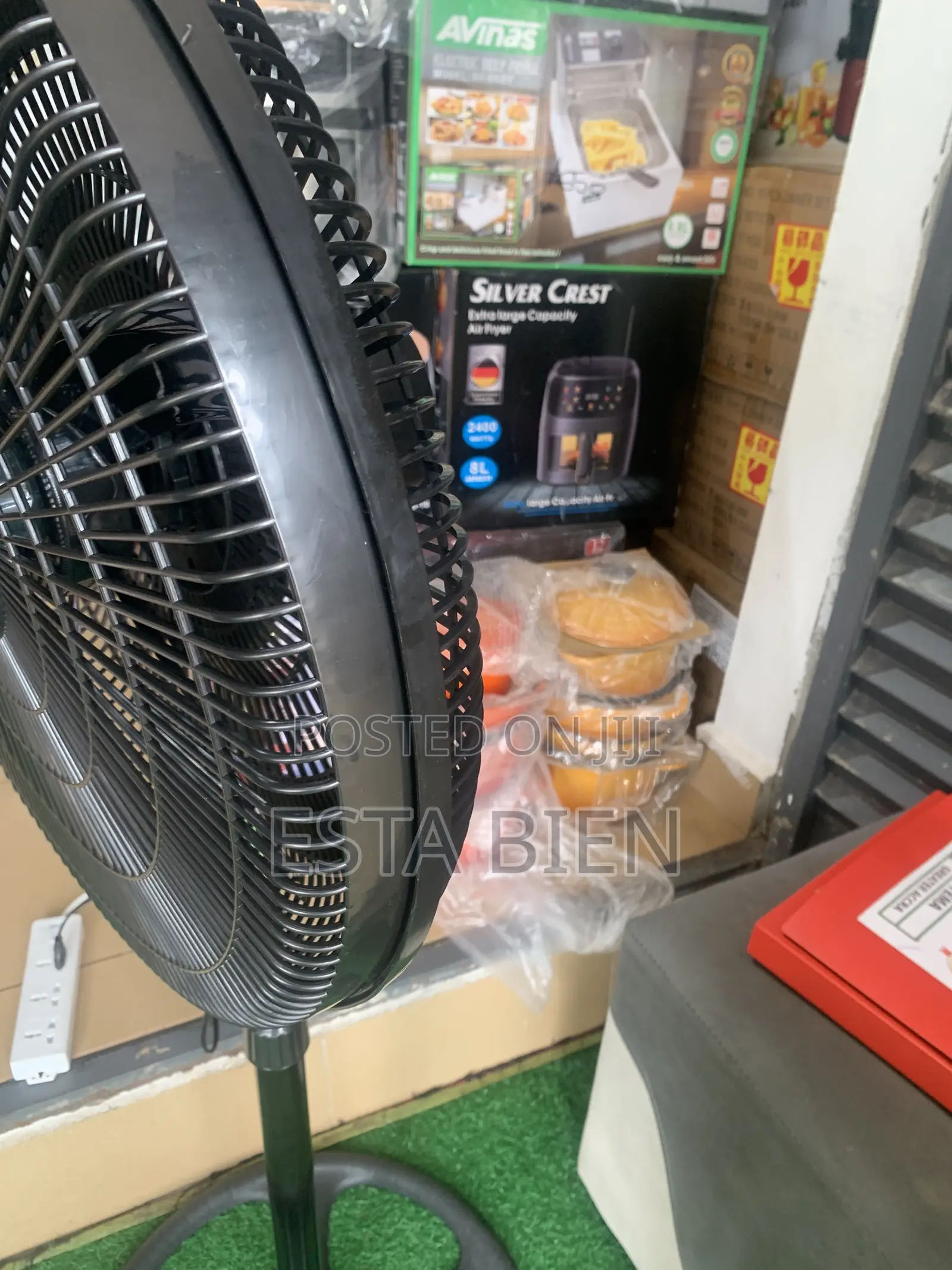 Standing Fan