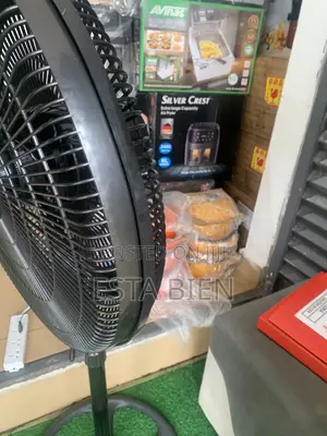 Standing Fan