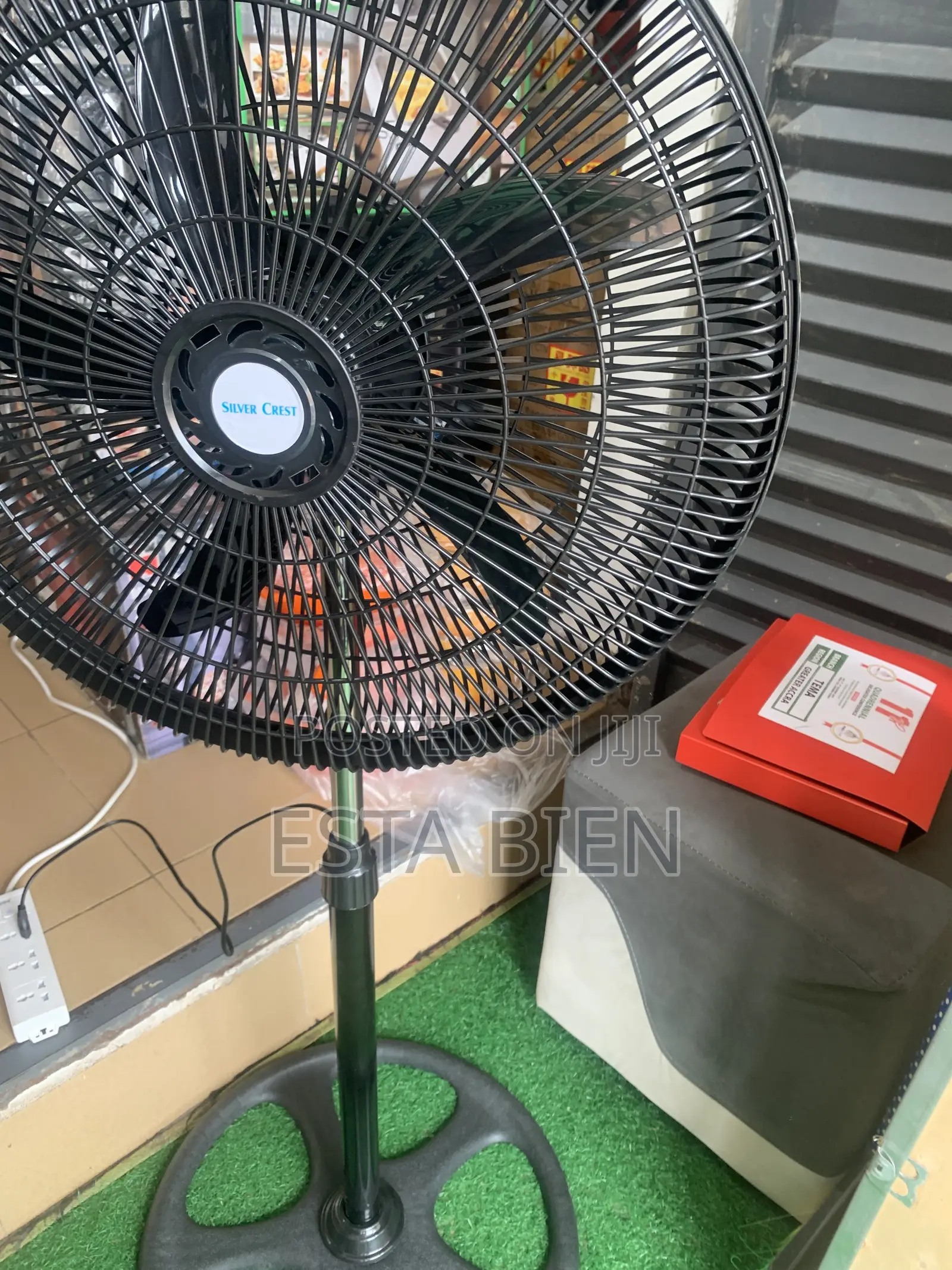 Standing Fan