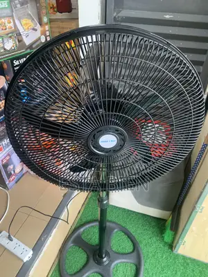Standing Fan