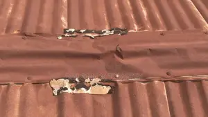 Permanent Roof Leakage Treatment and Solutions