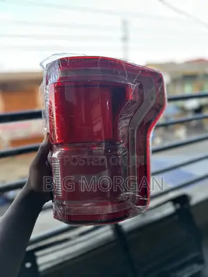 Ford F-150 2017 2018 2019 2020 Taillight