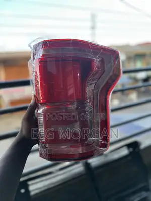 Ford F-150 2017 2018 2019 2020 Taillight