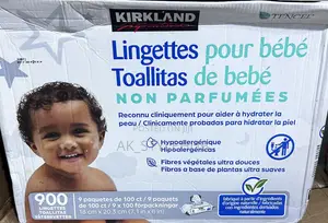 Kirkland Wipes