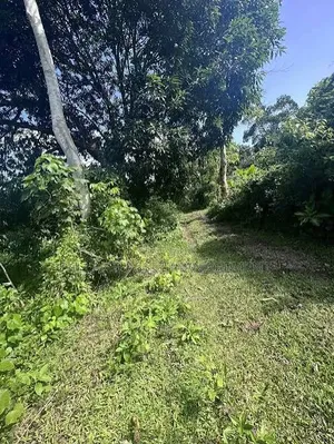 10,000 Farm Lands Forsale or Lease in Takoradi