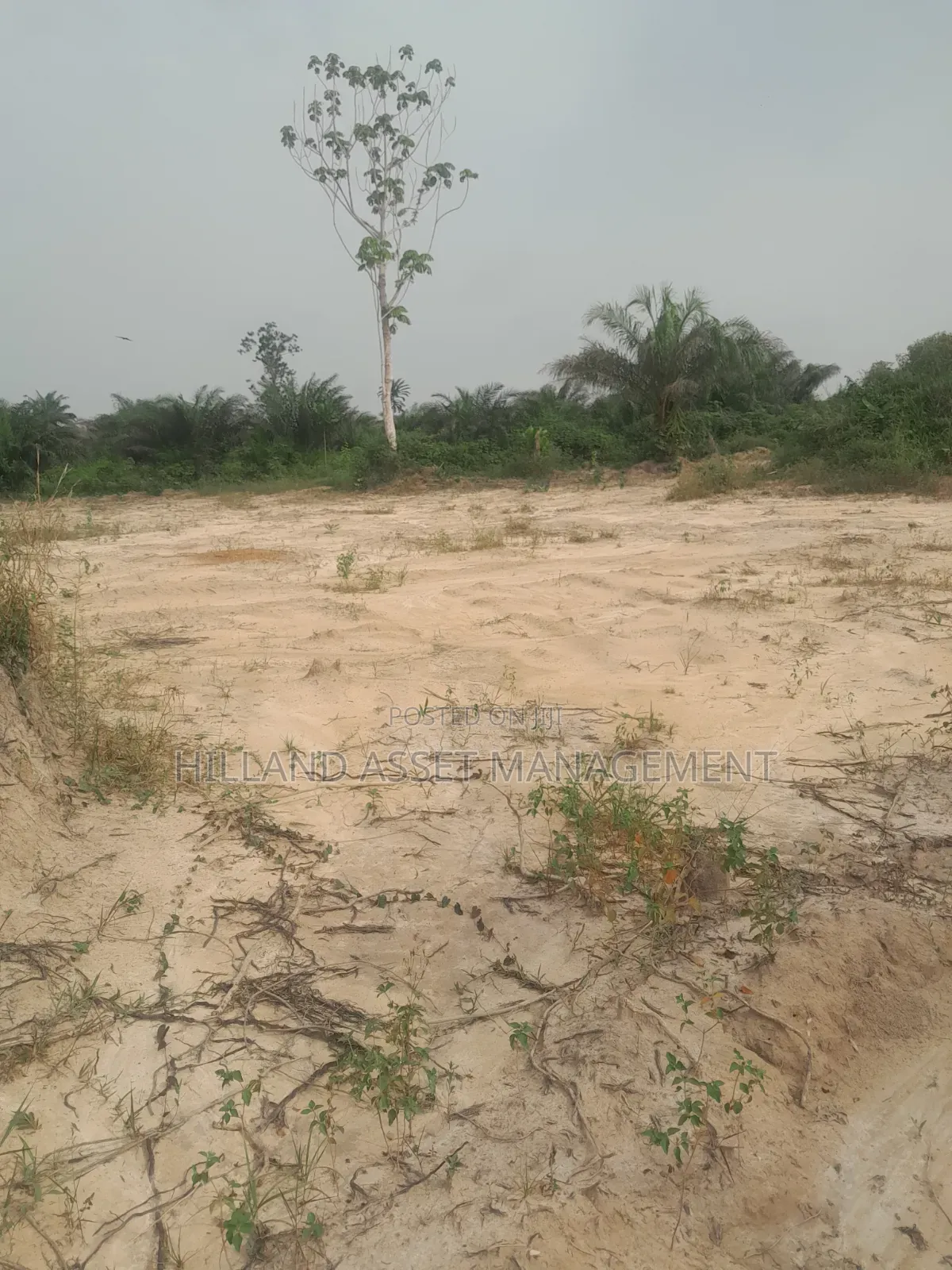 10,000 Farm Lands Forsale or Lease in Takoradi