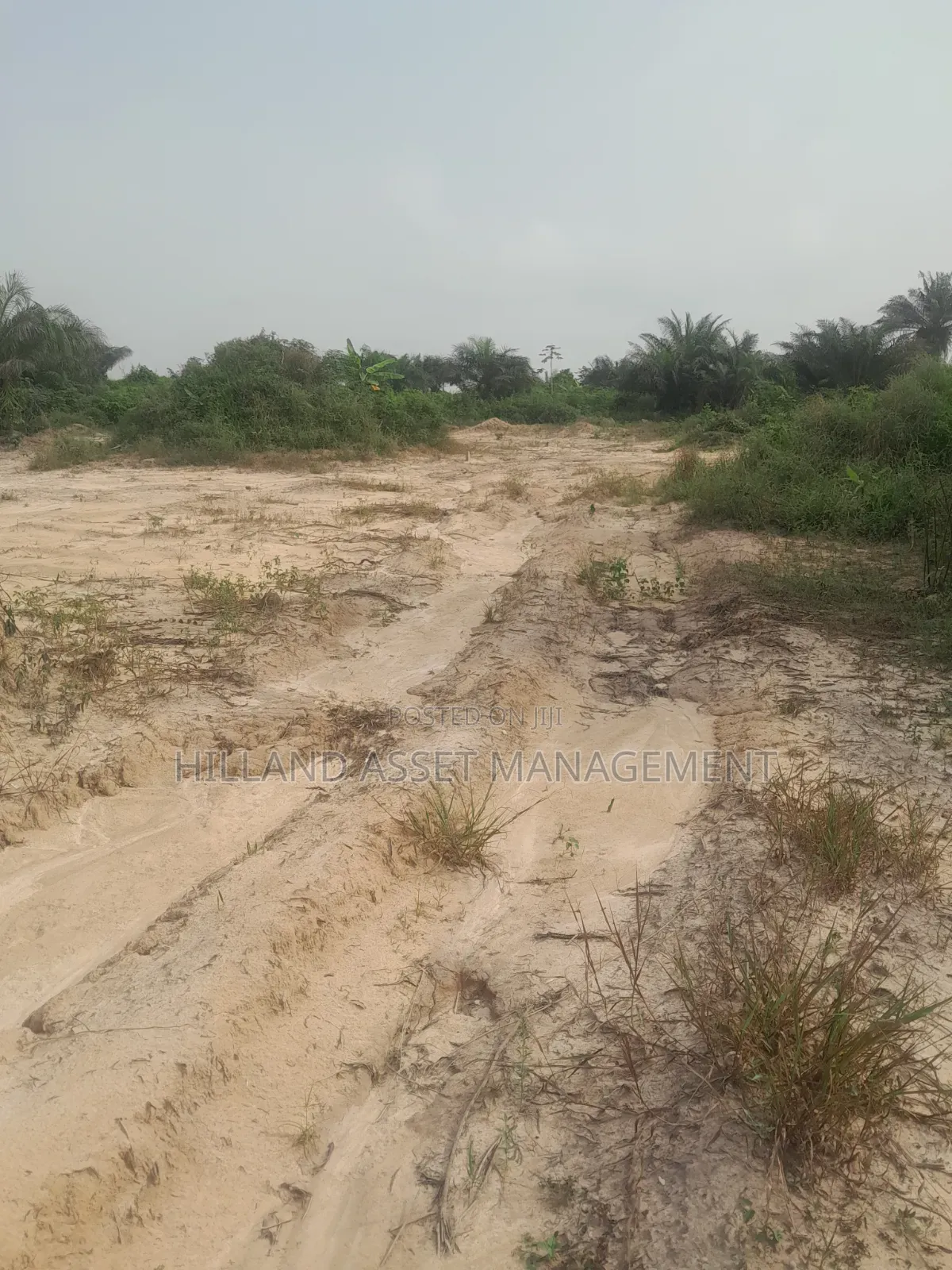 10,000 Farm Lands Forsale or Lease in Takoradi