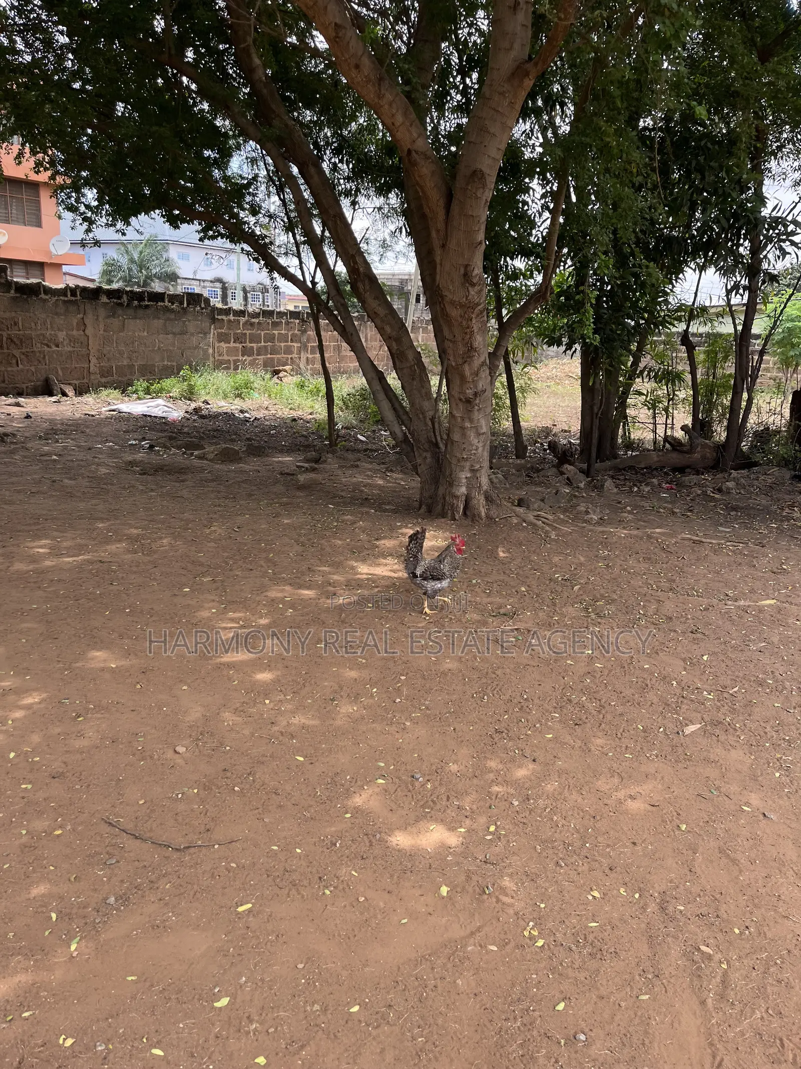 3plots Forsale -Airport