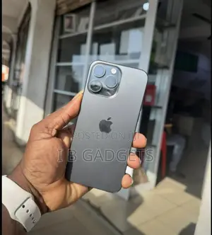 Apple iPhone 15 Pro Max 256 GB Gray