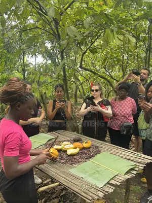Tour Ghana and Discover Ghana