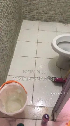 Home Cleaner