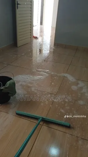 Home Cleaner