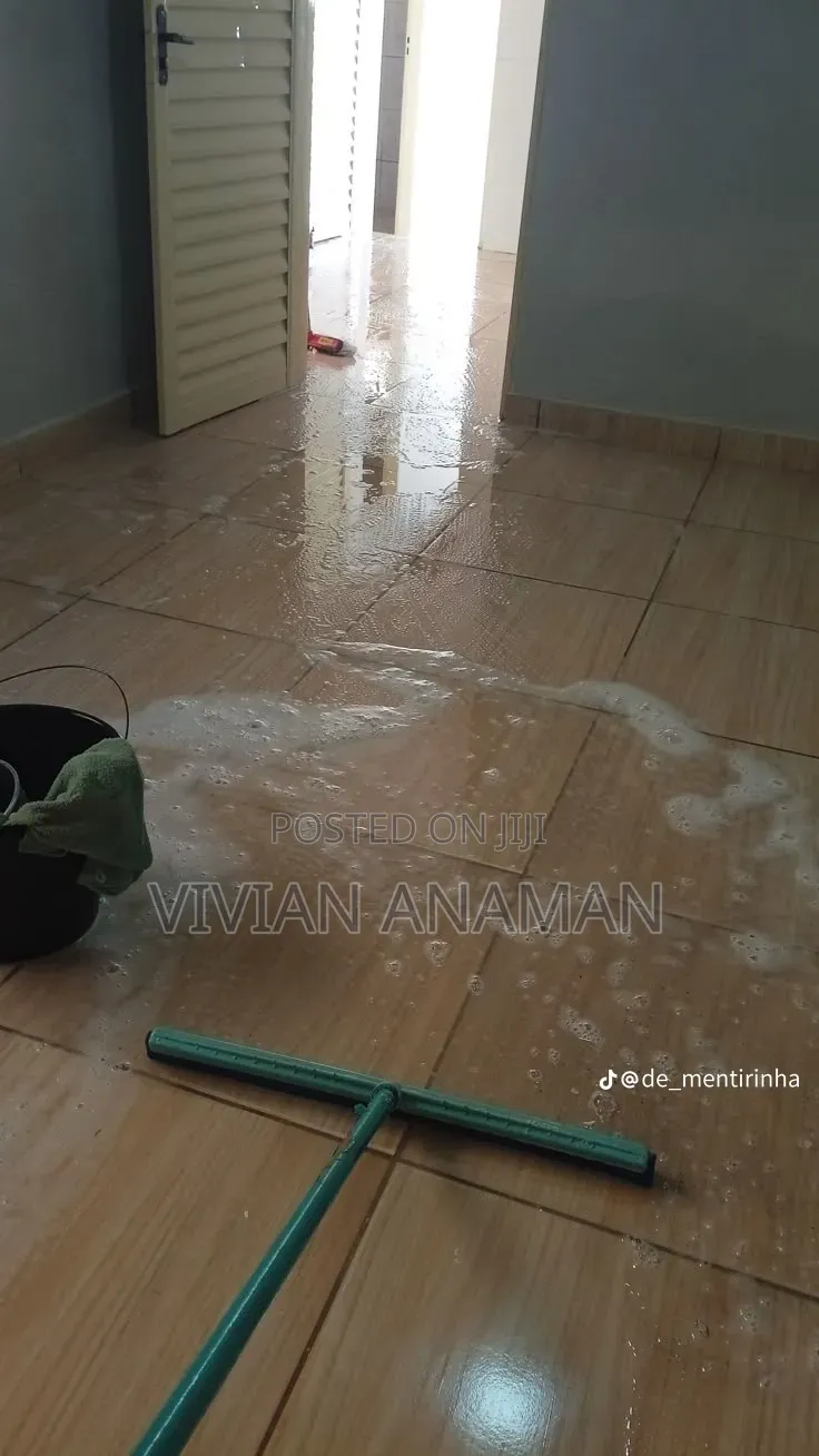 Home Cleaner
