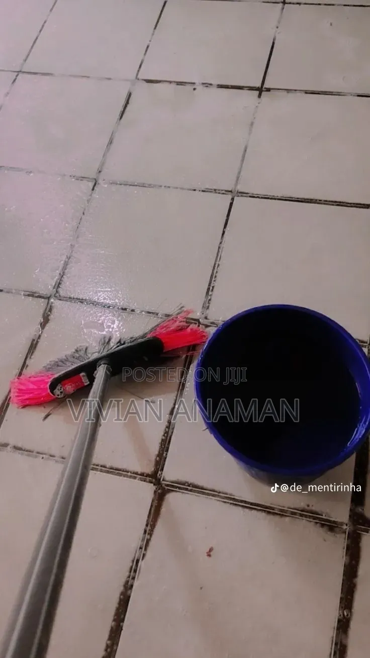 Home Cleaner