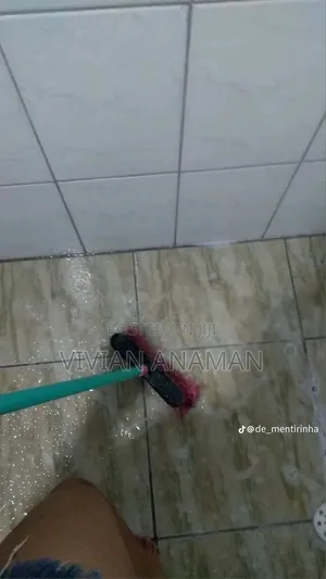 Home Cleaner