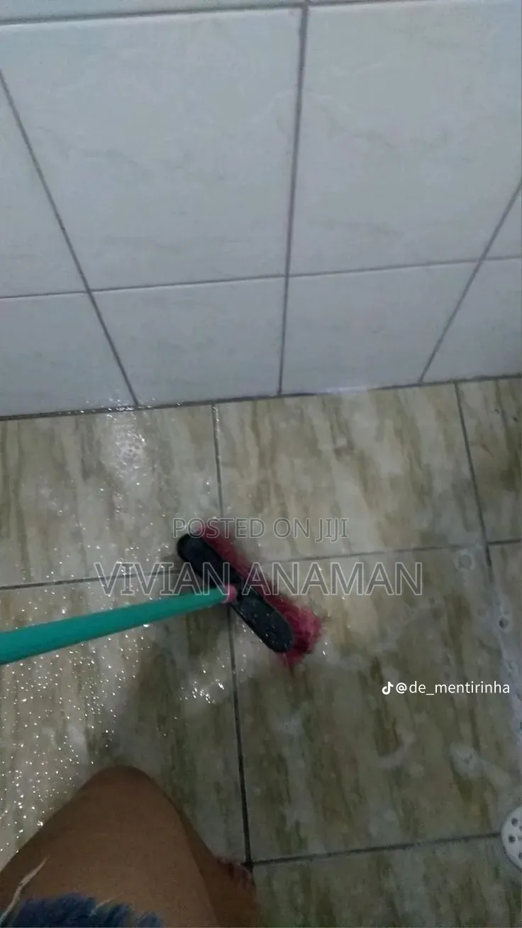 Home Cleaner