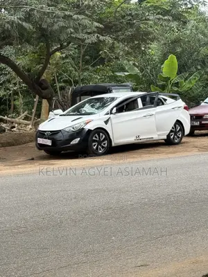 Hyundai Elantra 2013 White