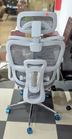 Ergonomic Mesh Office Chair With Headrest Footrest – Grey