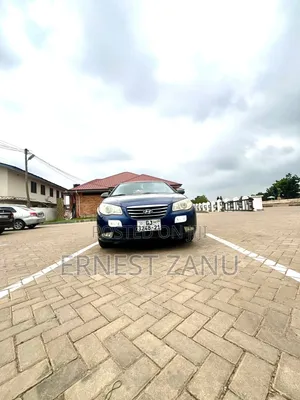 Hyundai Elantra 2010 Blue