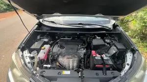 Toyota RAV4 LE AWD (2.5L 4cyl 6A) 2017 Silver
