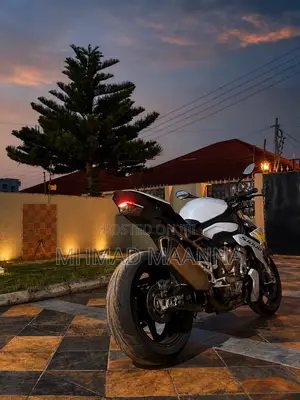 BMW S 1000 R 2023 Gray
