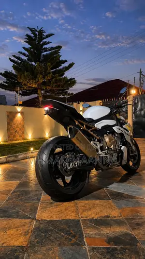 BMW S 1000 R 2023 Gray