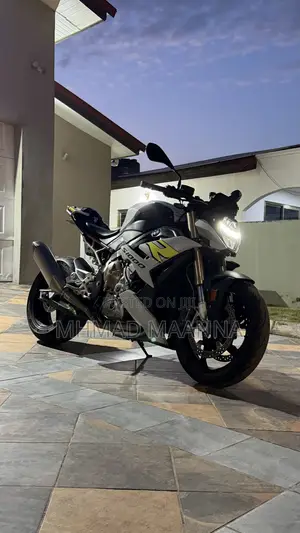 BMW S 1000 R 2023 Gray