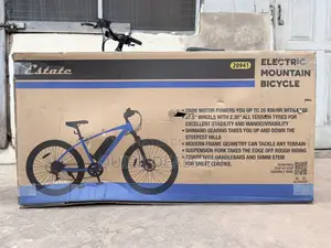 Electric Bike