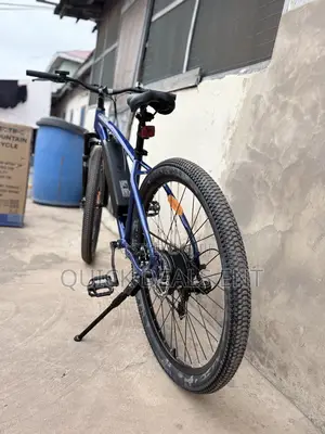 Electric Bike