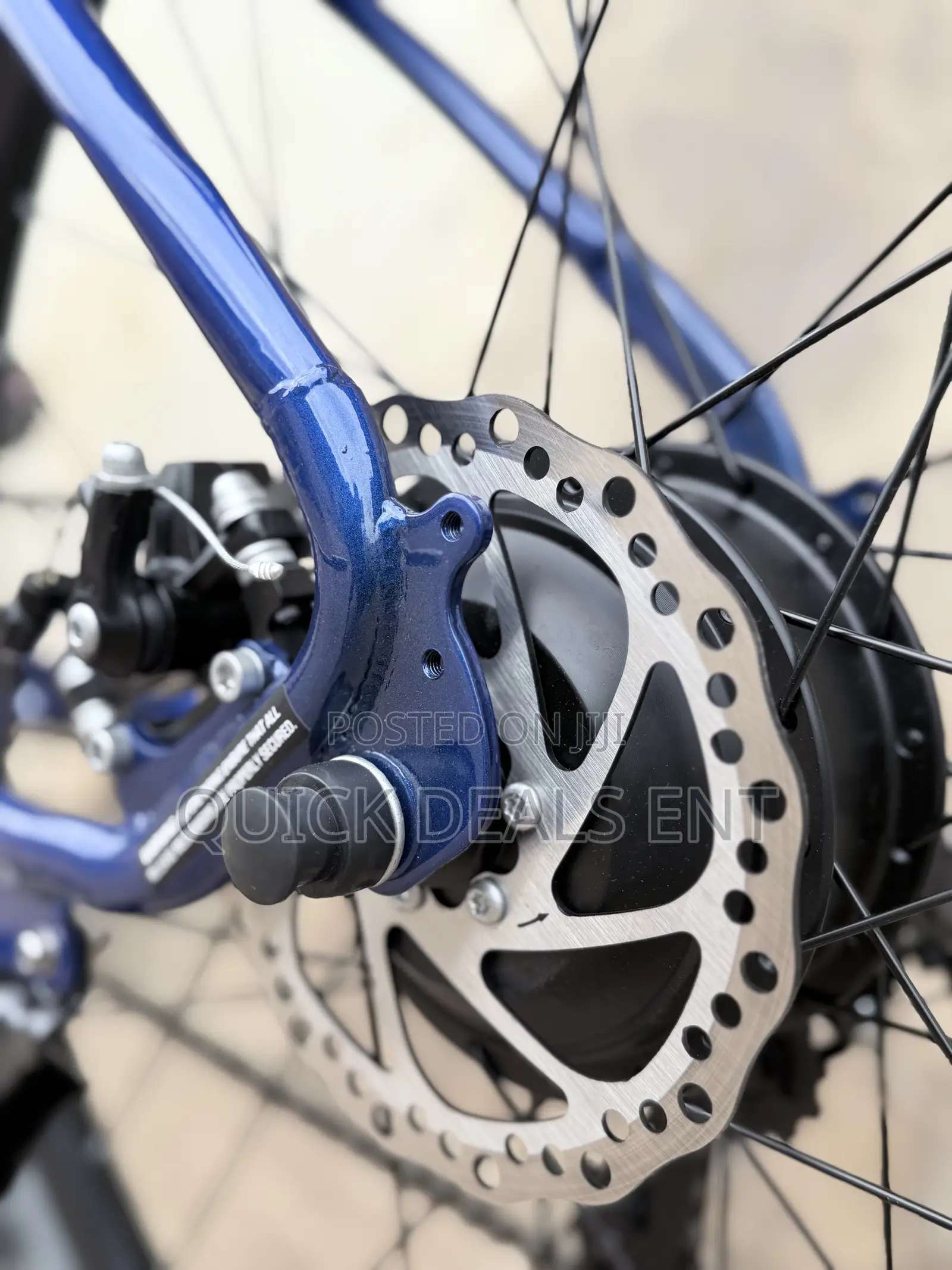 Electric Bike