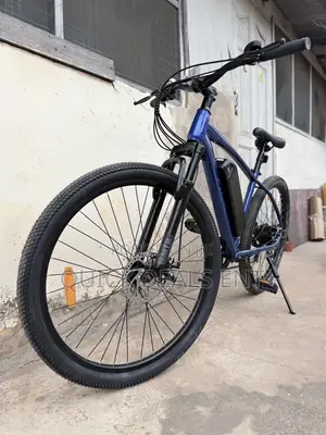 Electric Bike