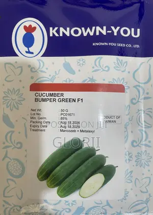 F1 Cucumber Seeds