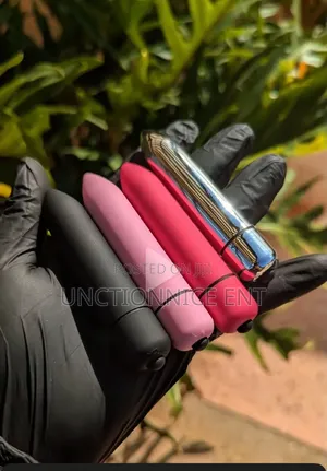 Satisfait: Mini Dolphin Bullet Vibrator