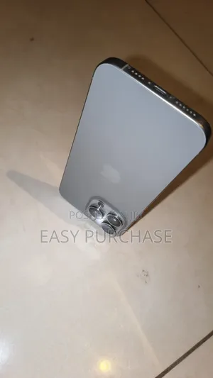 Apple iPhone 15 Pro Max 256 GB Silver