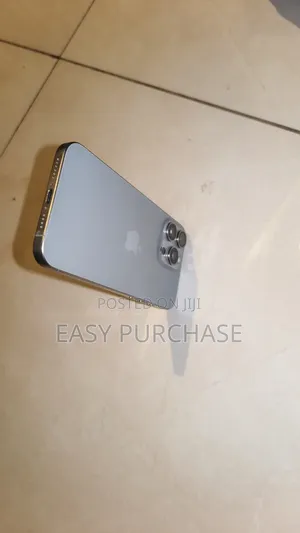 Apple iPhone 15 Pro Max 256 GB Silver