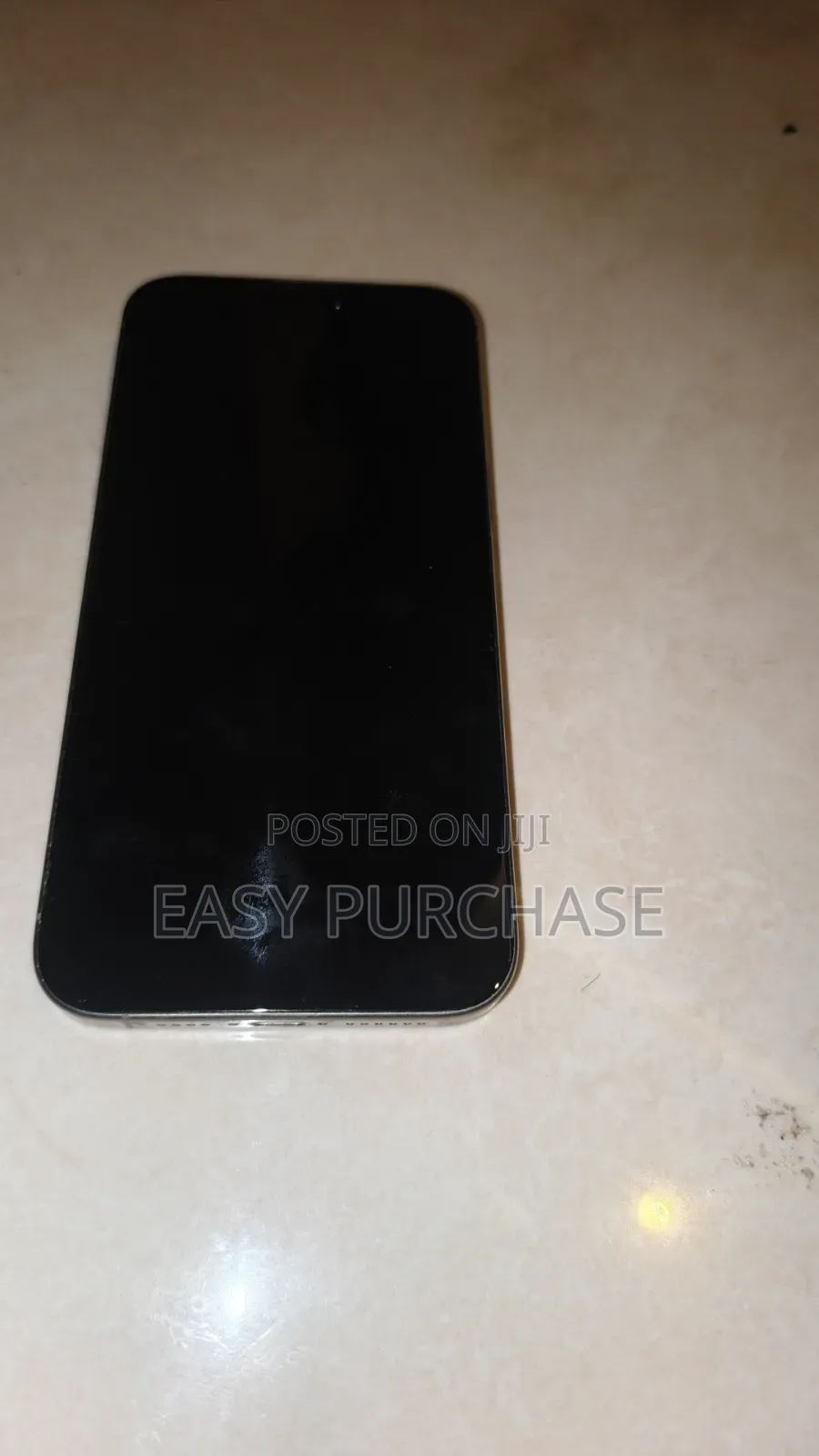 Apple iPhone 15 Pro Max 256 GB Silver