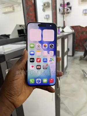 Apple iPhone 15 Pro Max 256 GB Gray