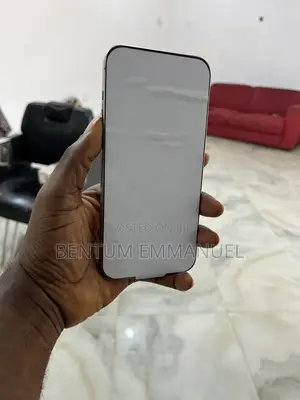 Apple iPhone 15 Pro Max 256 GB Gray